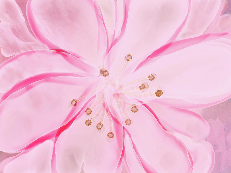 Spring Cherry Blossom Digital Art by Peggy Collins