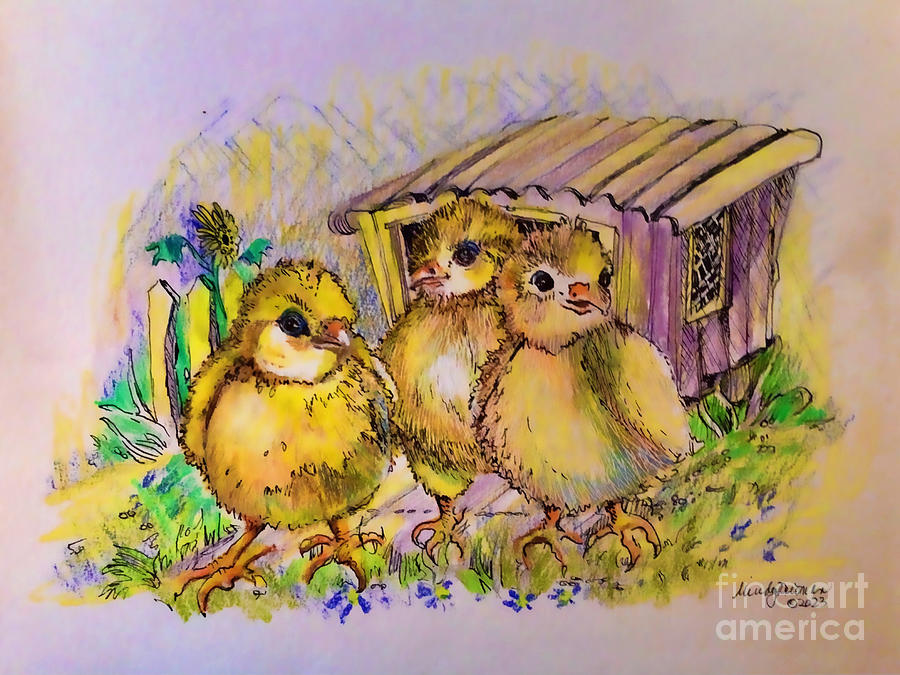 Spring Chickens Drawing by Mindy Newman