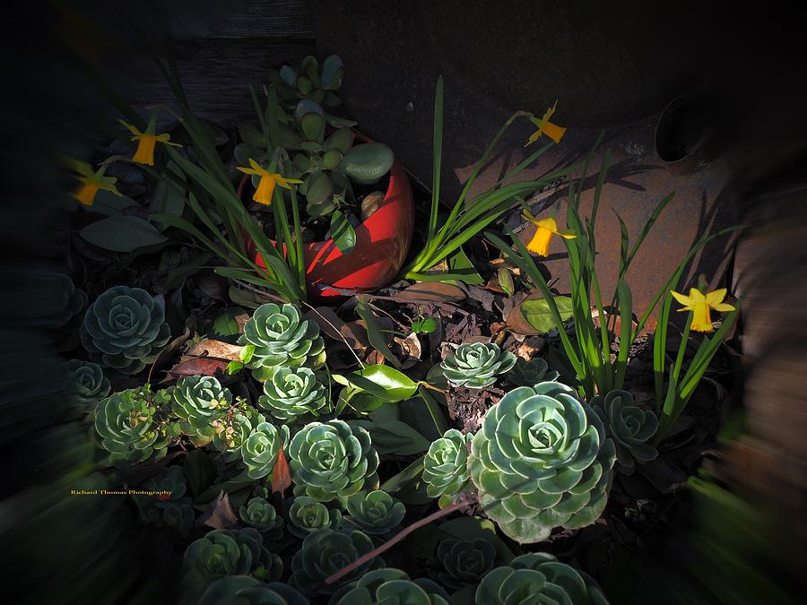 Spring Color Awakens Photograph by Richard Thomas