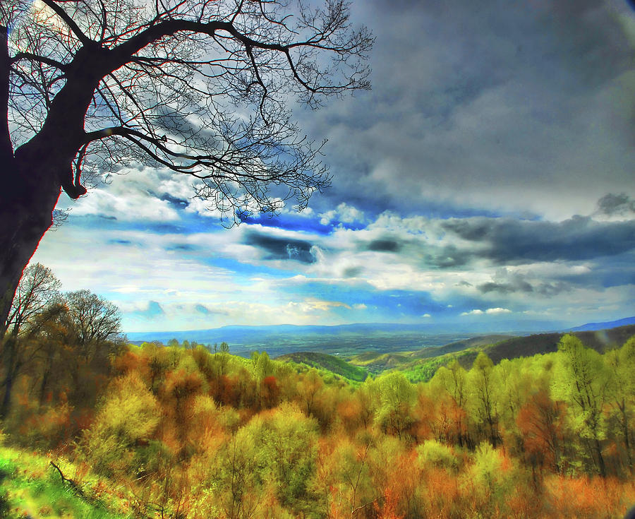 Spring color, Skyline Drive, Shenandoah Valley, VA Photograph by Bill Jonscher