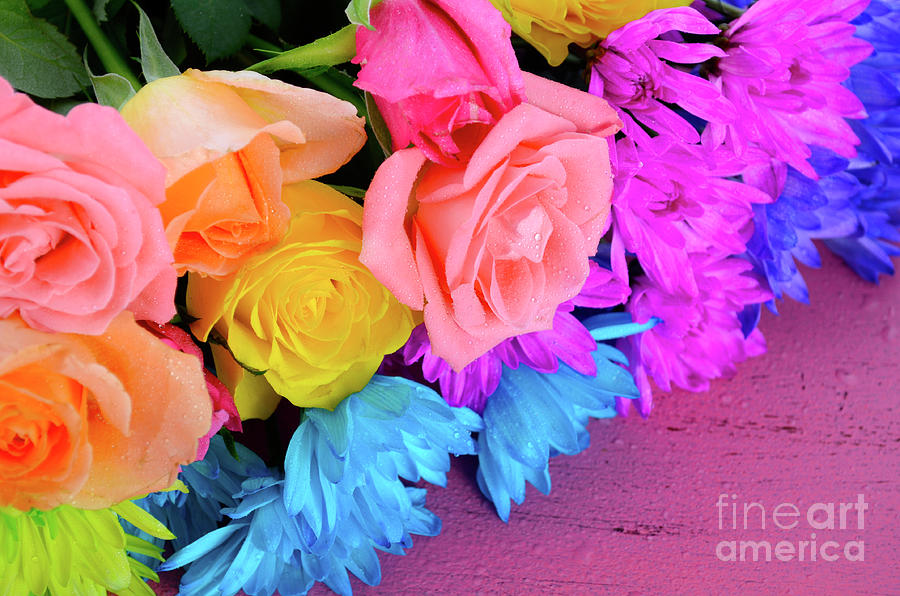 Spring colorful roses and daisy flowers Photograph by Milleflore Images
