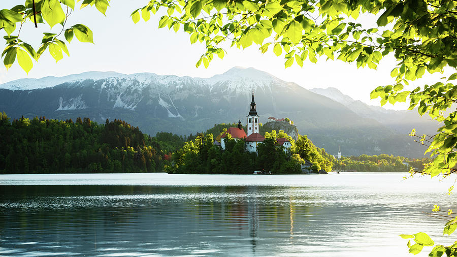 Spring colours at Lake Bled Photograph by Ian Middleton