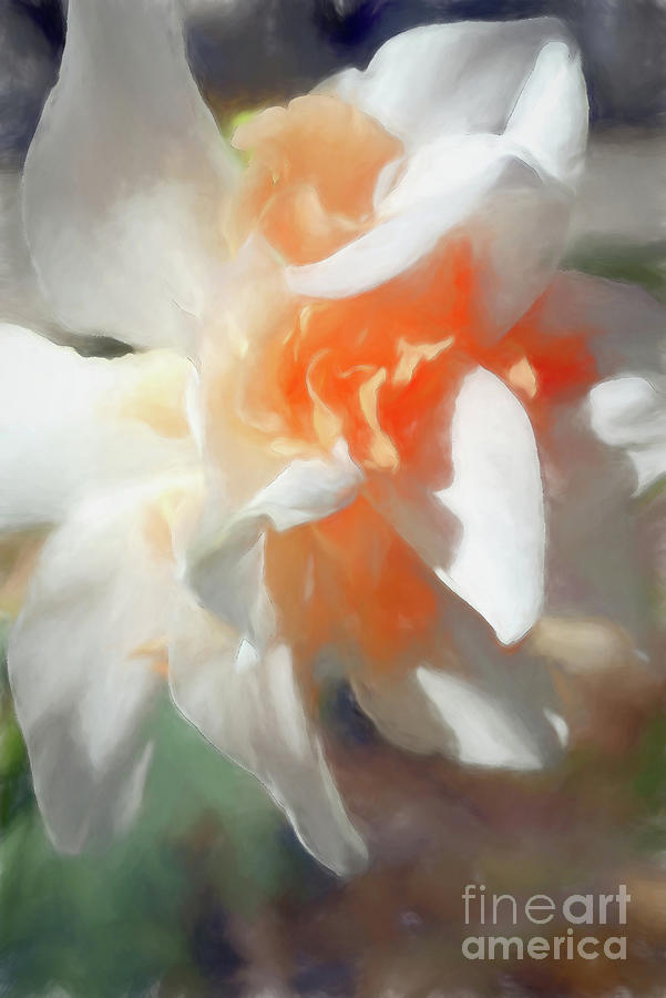 Spring Daffodil  Digital Art by Amy Dundon