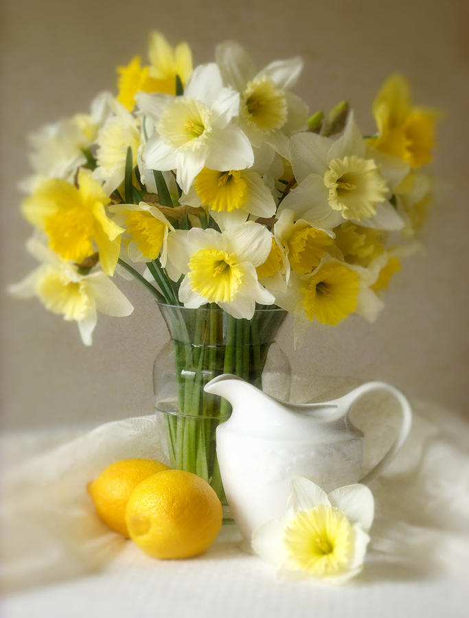 Spring Daffodils and Lemons Photograph by Dianne Sherrill