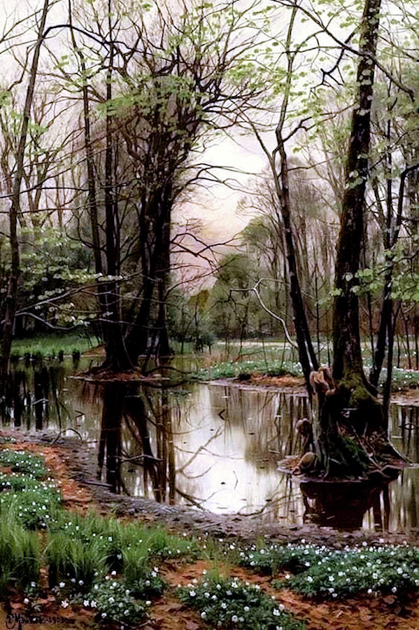 Spring Day In The Forest With Beeches And Anemones In Bloom Painting