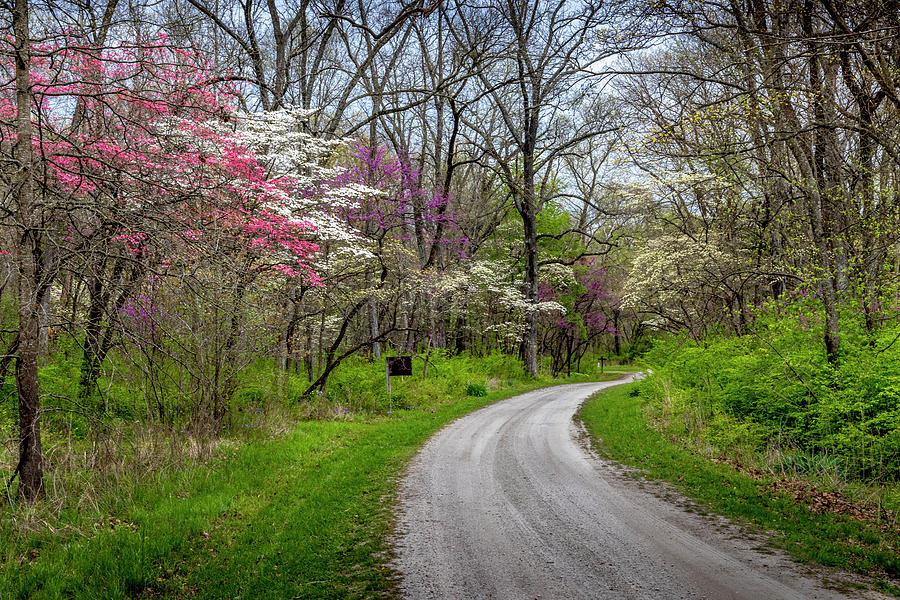 Spring Drive Photograph by Harold Rau