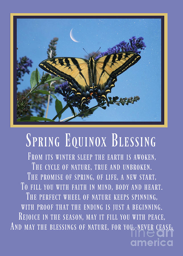 Spring Equinox Blessings Swallowtail and Crescent Moon Photograph by Stephanie Laird