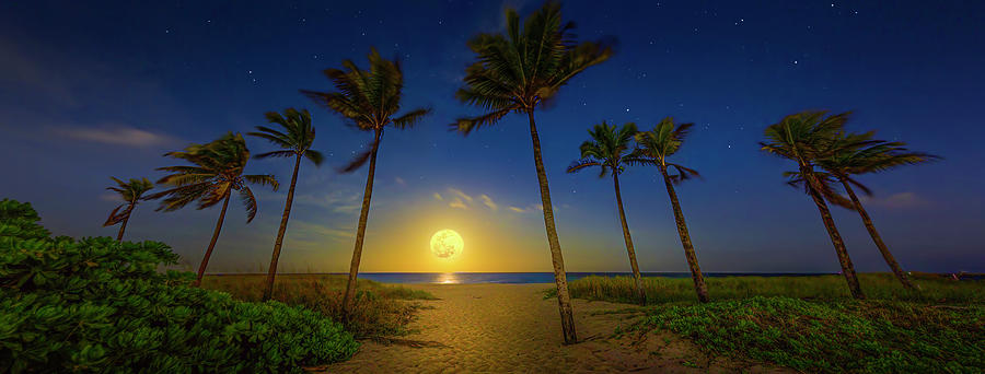 Spring Equinox Moon at Fort Lauderdale Beach Photograph by Mark Andrew Thomas