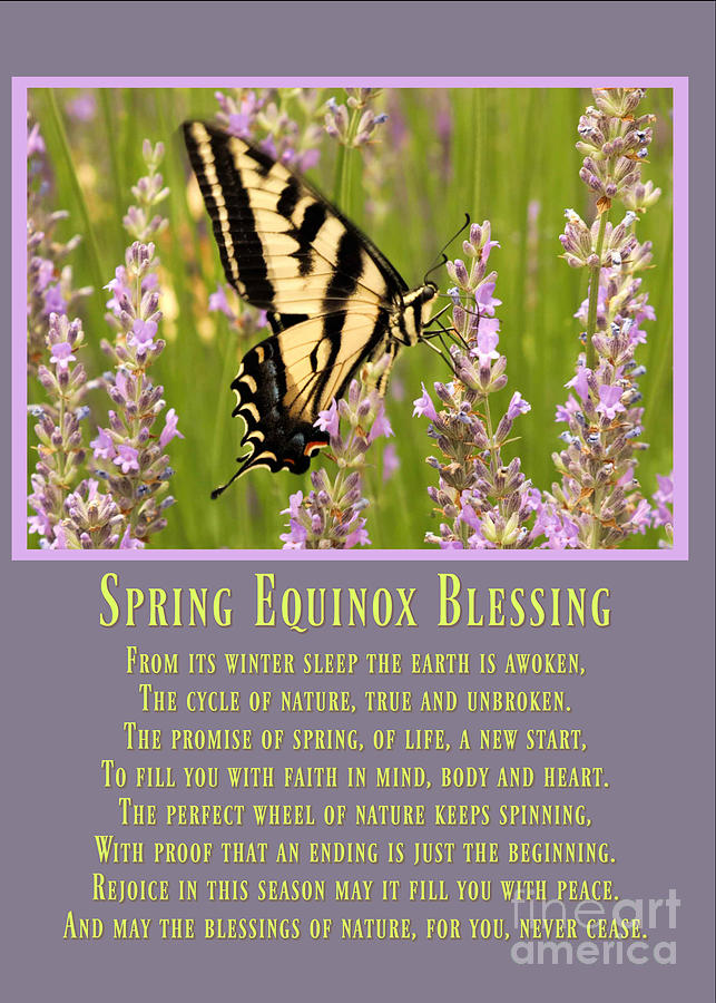 Spring Equinox Ostara Blessing With Butterfly and Flowers Photograph by