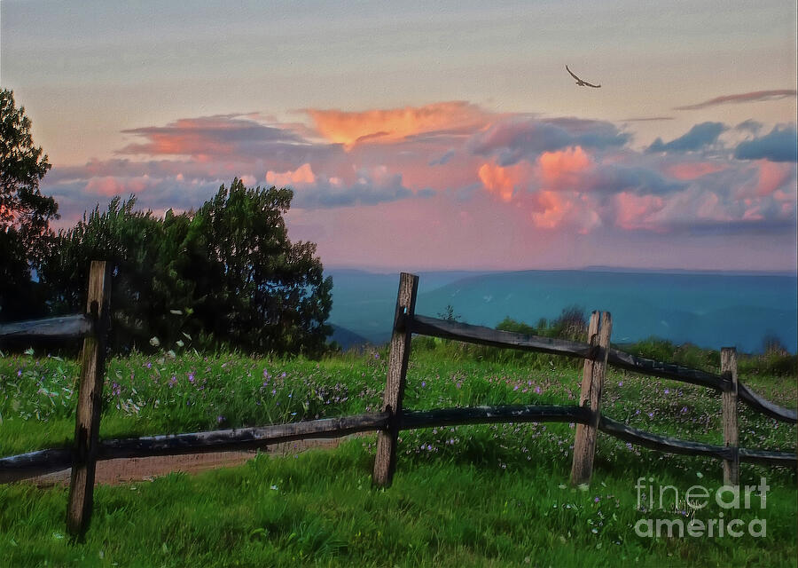Spring Photograph - Spring Evening On Top Of Blue Knob by Lois Bryan