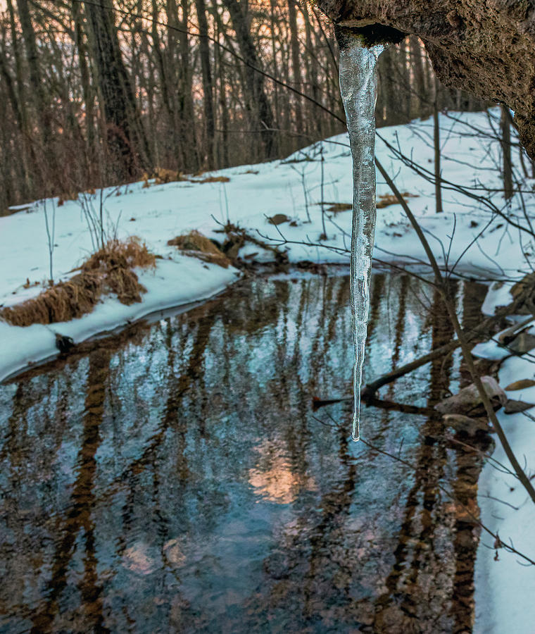 Spring Fed Icicle Photograph by Lara Ellis