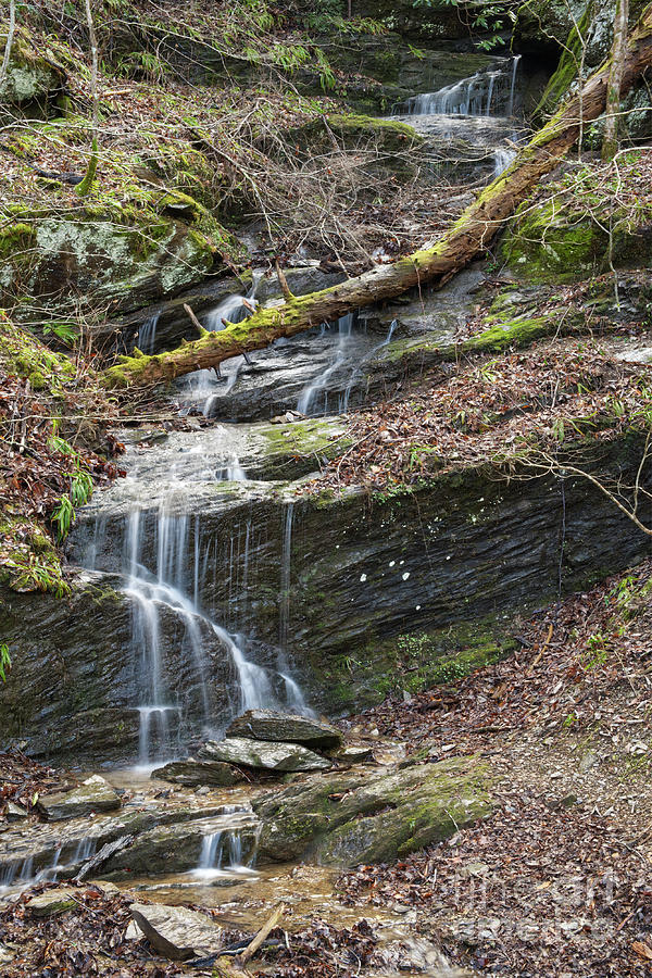 Spring Fed Waterfall Photograph by Phil Perkins