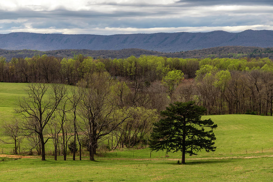 Spring Fields Photograph by David Beard - Fine Art America
