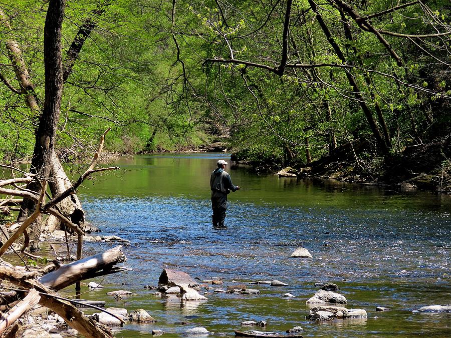 Spring Fishing in the Wissahickon Creek Photograph by Linda Stern