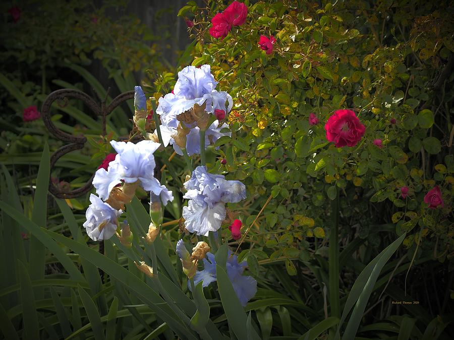 Spring Floral Display Photograph by Richard Thomas