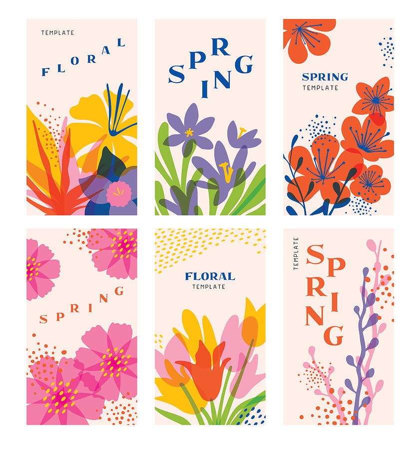 Spring floral templates set Drawing by Miakievy