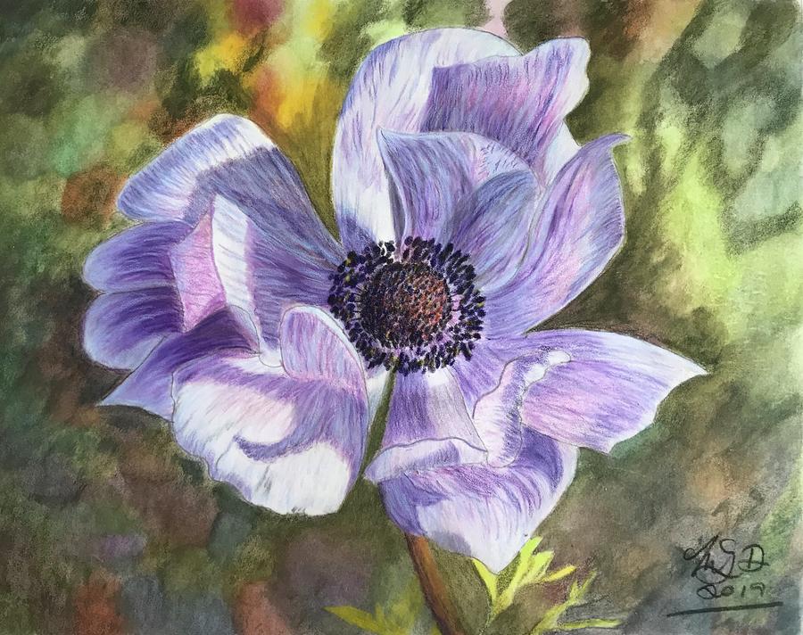 Spring Flower Drawing by MaryLou Duggan