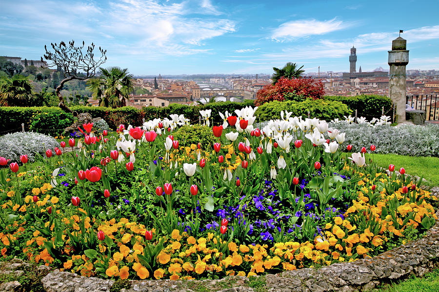 Spring Flowerbed at Piazza Michelangelo in Florence Italy Photograph by Lily Malor