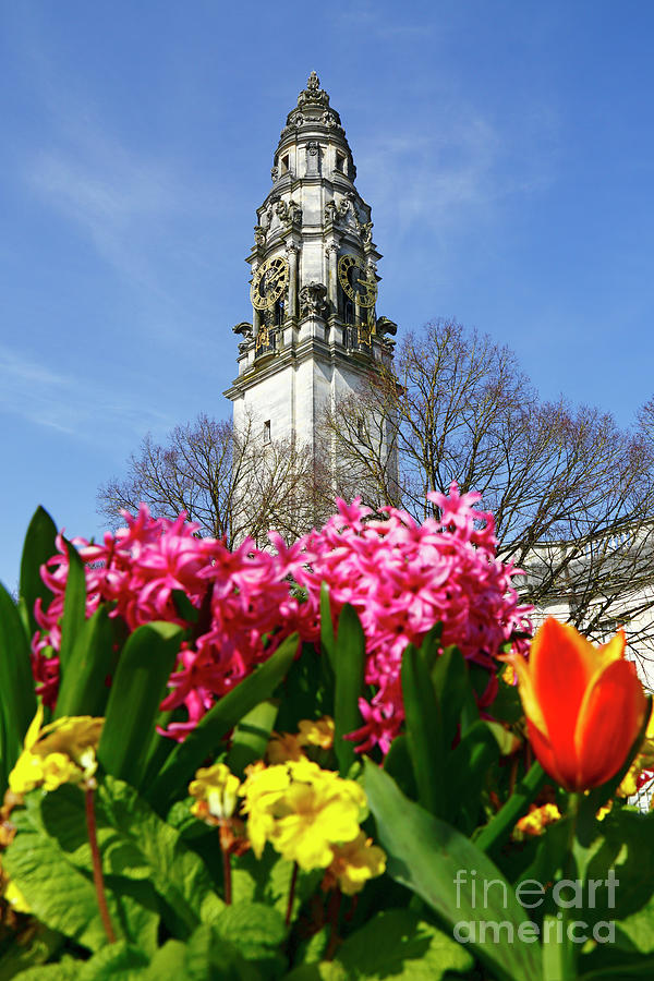 Spring flowers and City Hall clock tower Cardiff Wales Photograph by James Brunker