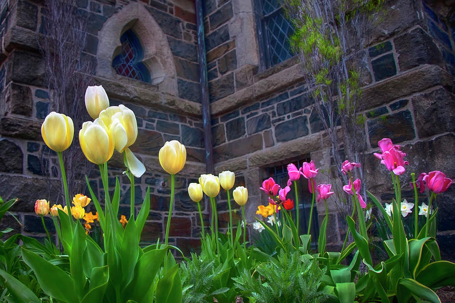 Spring Flowers And Stone Architecture Photograph