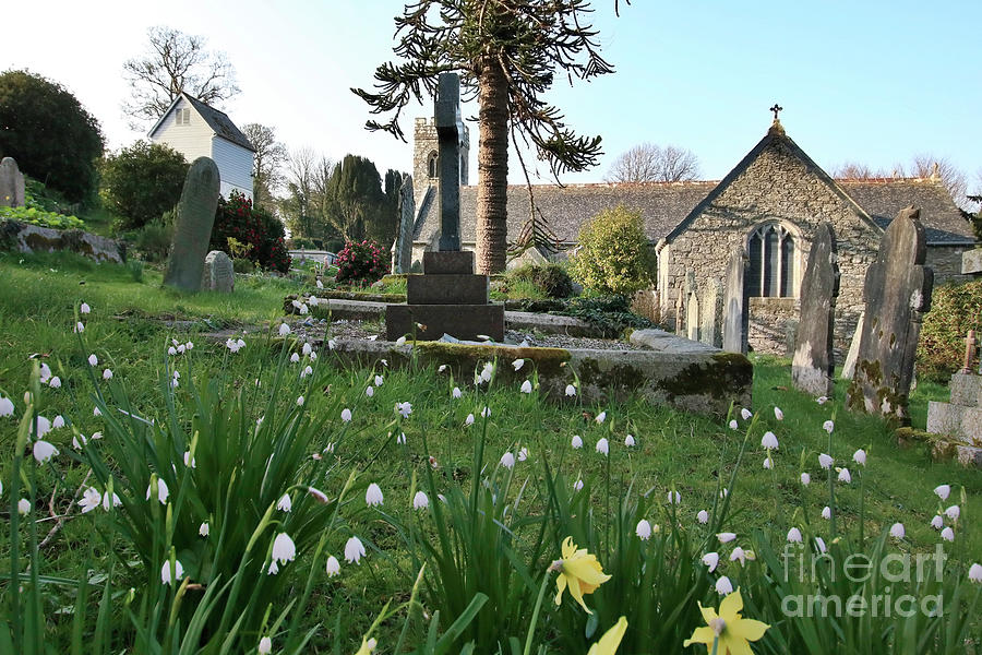 Spring Flowers at Mylor Church Photograph by Terri Waters