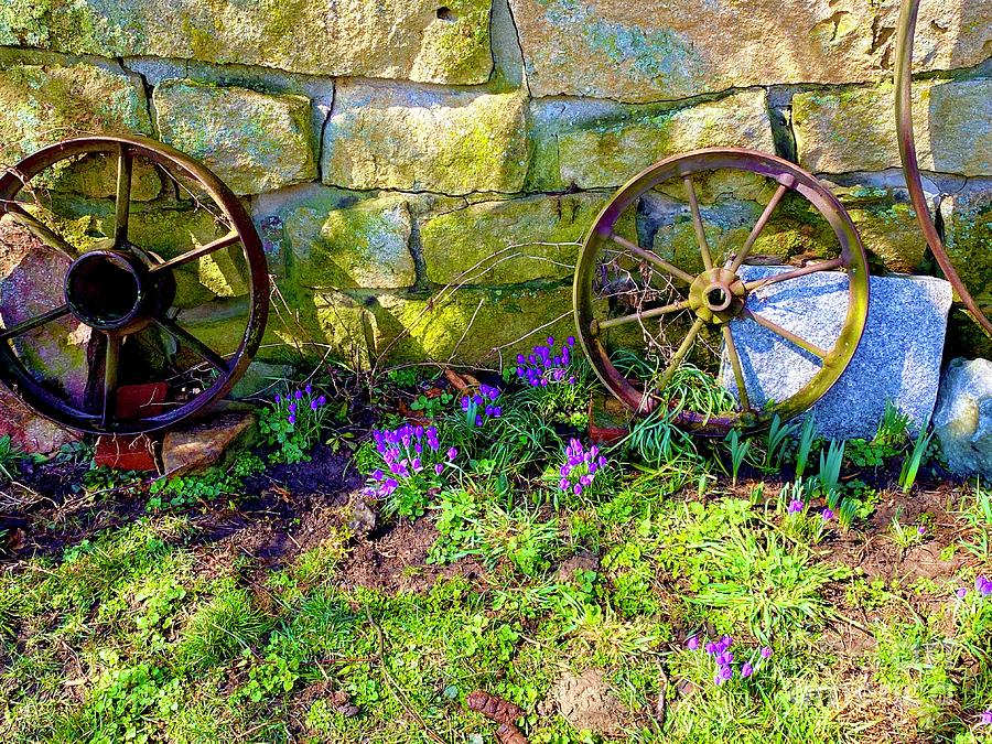 Spring Flowers At The Stone Wall  Photograph by Jeffrey Koss