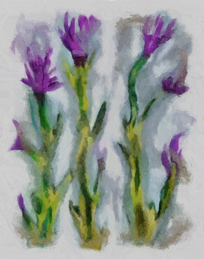 Spring Flowers Emerge Mixed Media by Christopher Reed