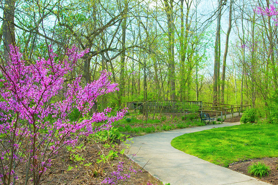 Spring FLowers FloraPinkGreenHamilton County Indiana Photograph