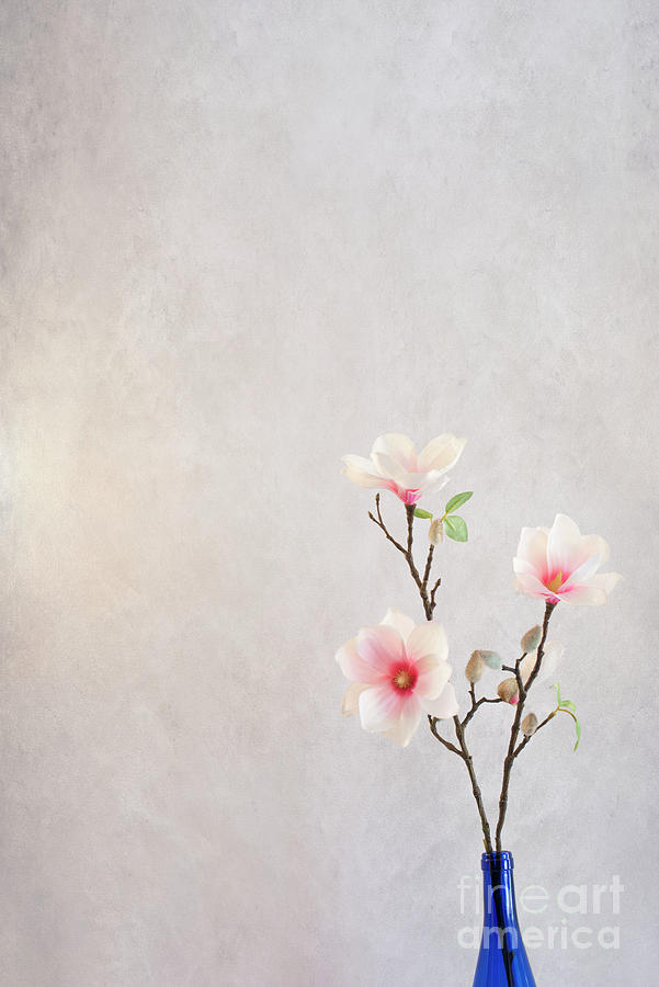 Spring Flowers in a Vase Photograph by Juli Scalzi