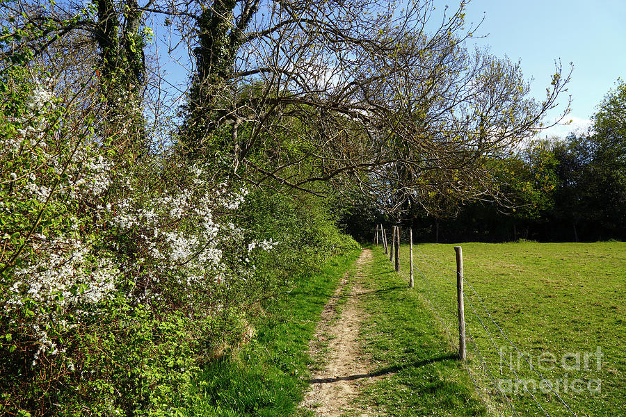 Spring footpath in the High Weald of Kent Photograph by James Brunker