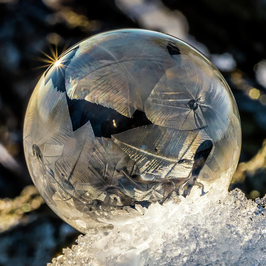 Spring Frozen Bubbles Photograph by Paulette Marzahl