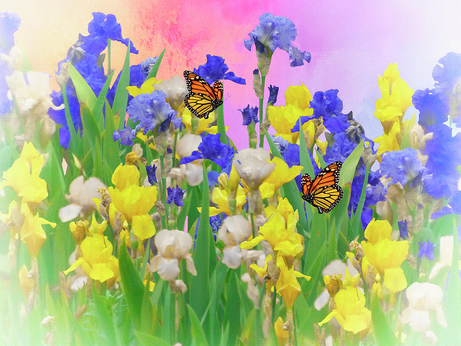 Spring Digital Art - Spring Garden Splender by Diane Schuster