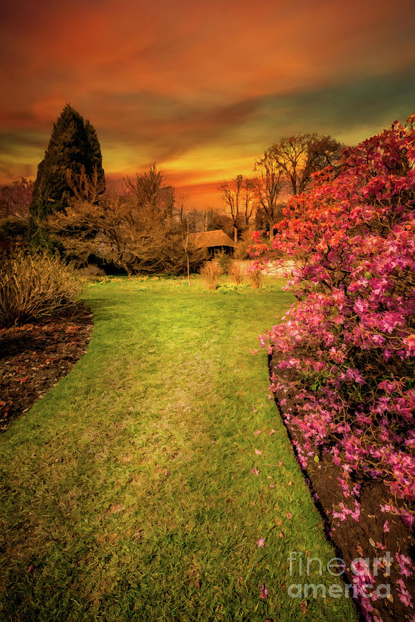 Spring Garden Sunset Photograph by Adrian Evans