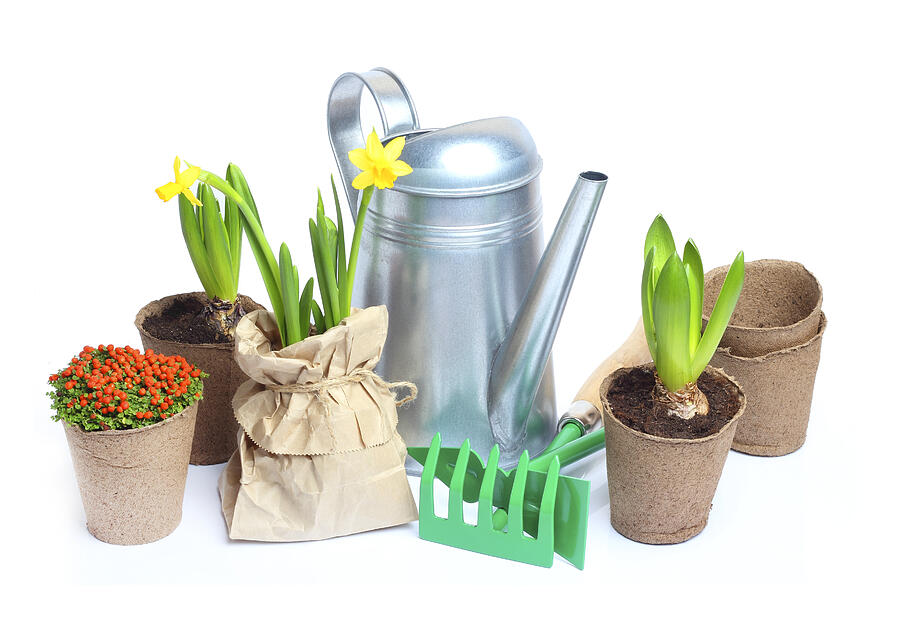 Spring Garden Tools isolated white background Photograph by Strelov
