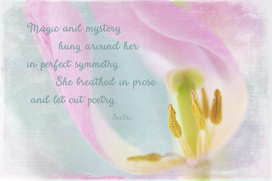 Spring Grace Quote Photograph by Jill Love
