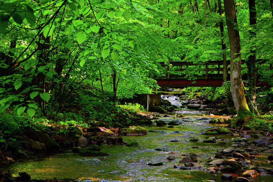 Spring Green Dunnfield Creek Appalachian Trail Bridge  Photograph by Raymond Salani III