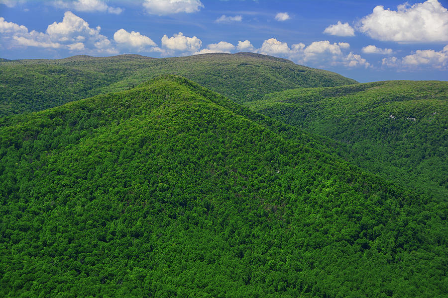 Spring Green Gradient from Old Rag Photograph by Raymond Salani III