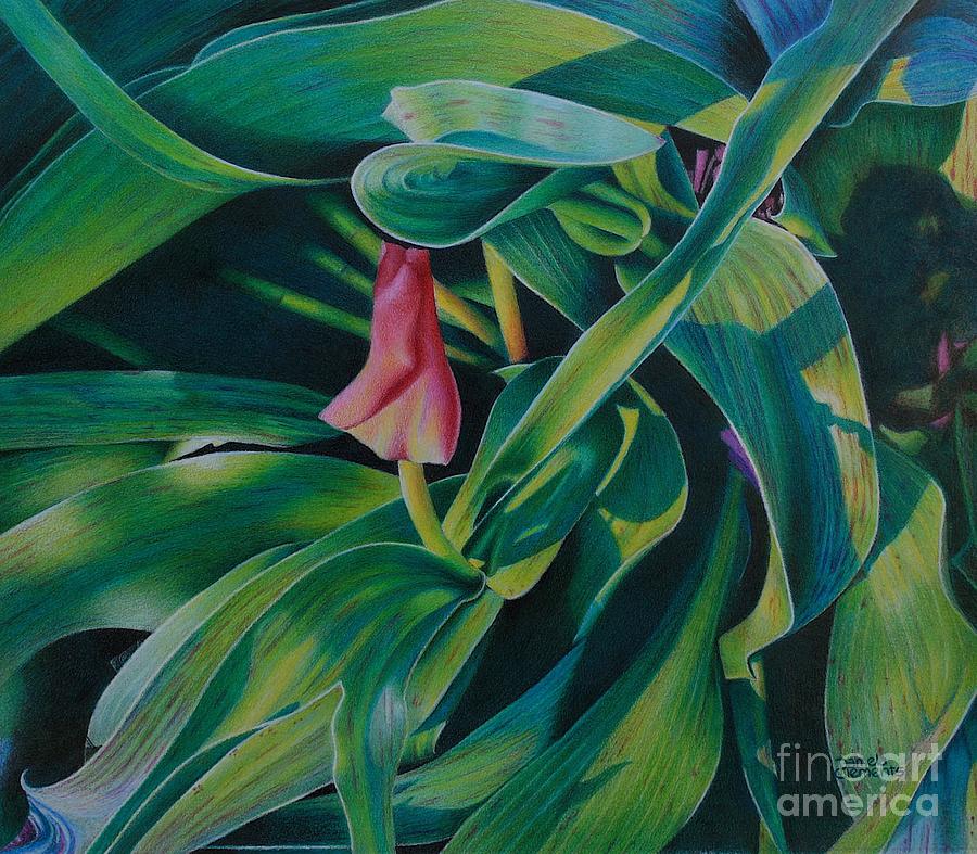 Spring Green Drawing by Pamela Clements