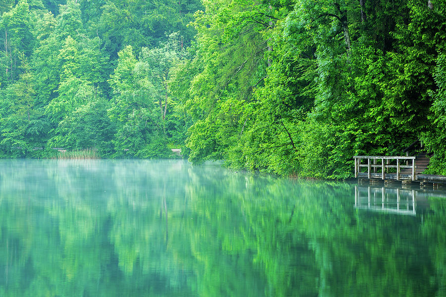 Spring greens at Lake Bled, Slovenia. Photograph by Ian Middleton
