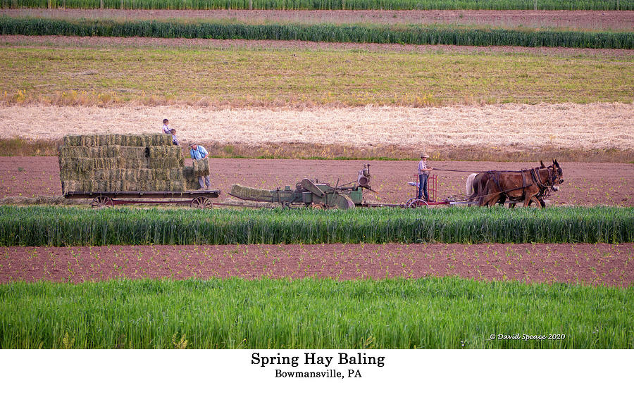 Spring Hay Baling Photograph by David Speace