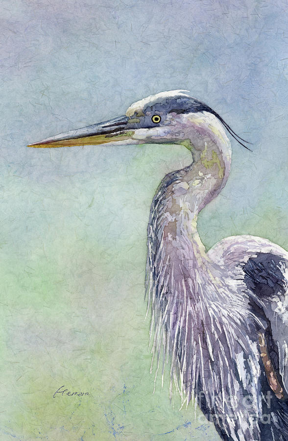 Spring Heron - Great Blue Heron 2 Painting by Hailey E Herrera - Fine ...