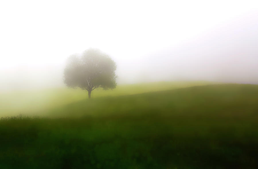Spring Hills in Fog Photograph by Angelika Vogel