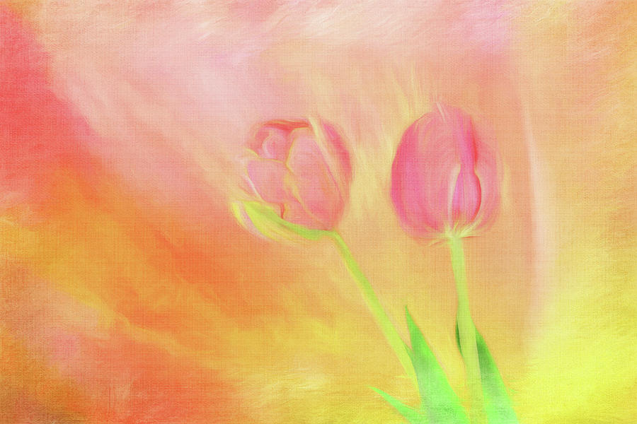 Spring Impressions Tulips Digital Art by Terry Davis