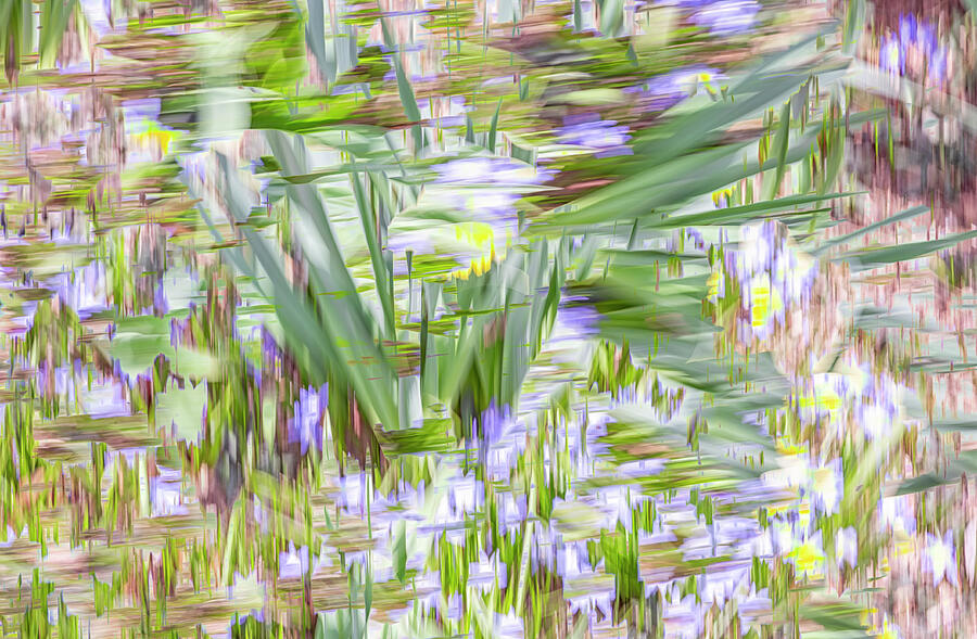 Spring in Abstract Photograph by Cate Franklyn