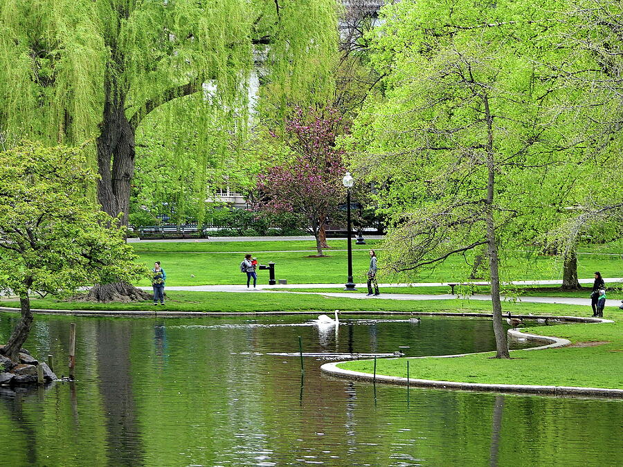 Spring in Boston Public Garden Photograph by Lyuba Filatova