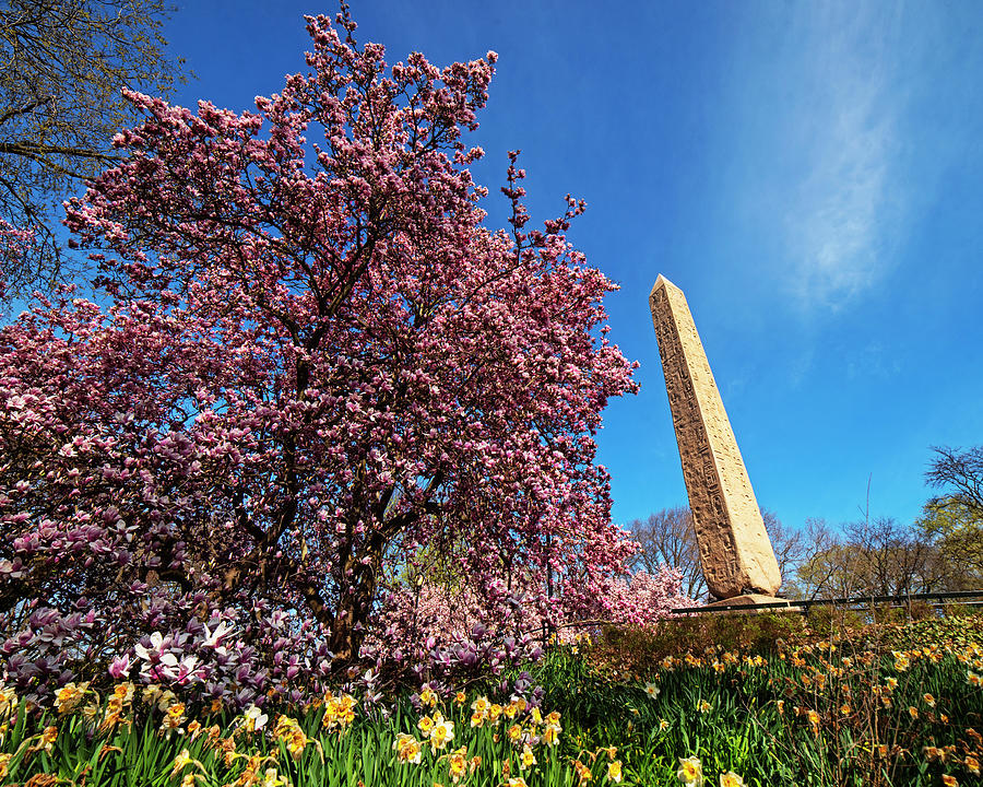 Spring in Central Park New York Egyptian Obelisk 3500 Years Old Photograph by Toby McGuire