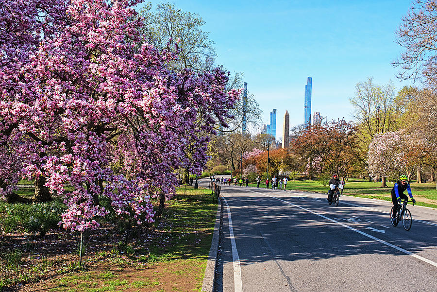 Spring in Central Park New York Egyptian Obelisk and Skyline Photograph by Toby McGuire