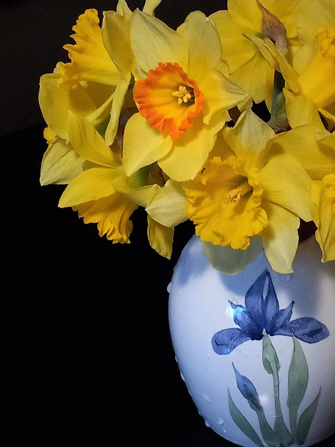 A Spring Bouquet of Jonquils Photograph by Angela Davies