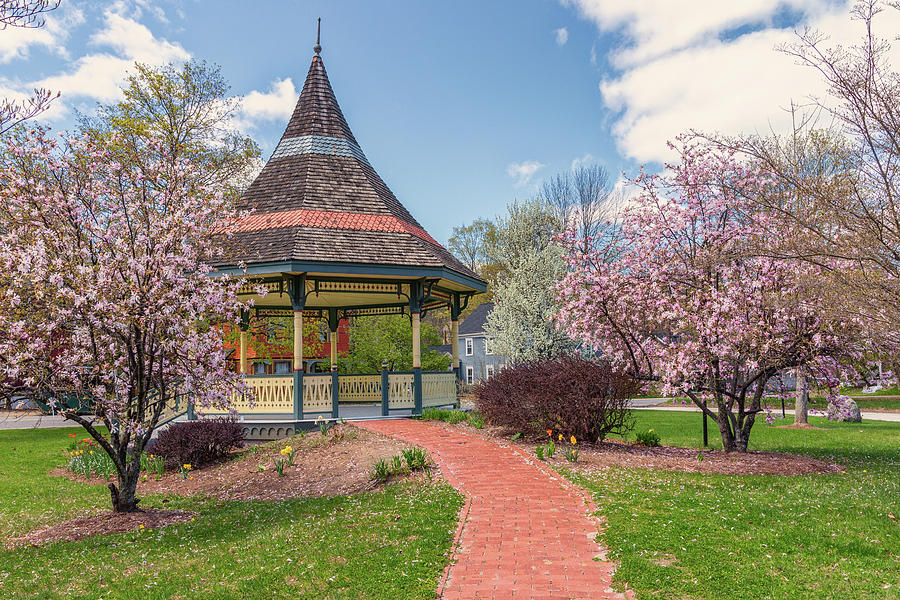 Spring in New Hampshire Photograph by Mindy Randall Fine Art America