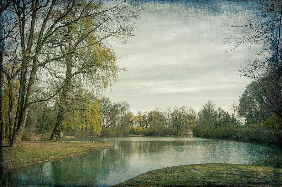 Spring In Park, Vintage Daguerreotype Photograph